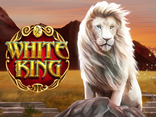 ph.365 casino login